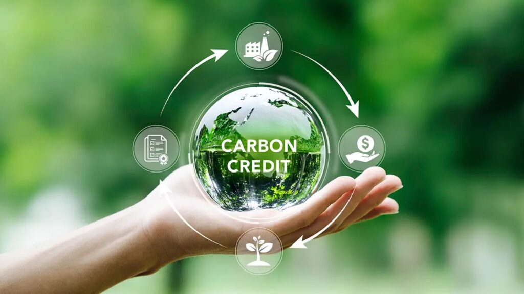 Carbon Offsets and Trading Services in India